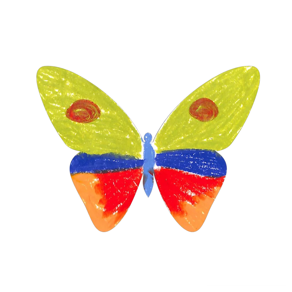 Original Butterfly Image