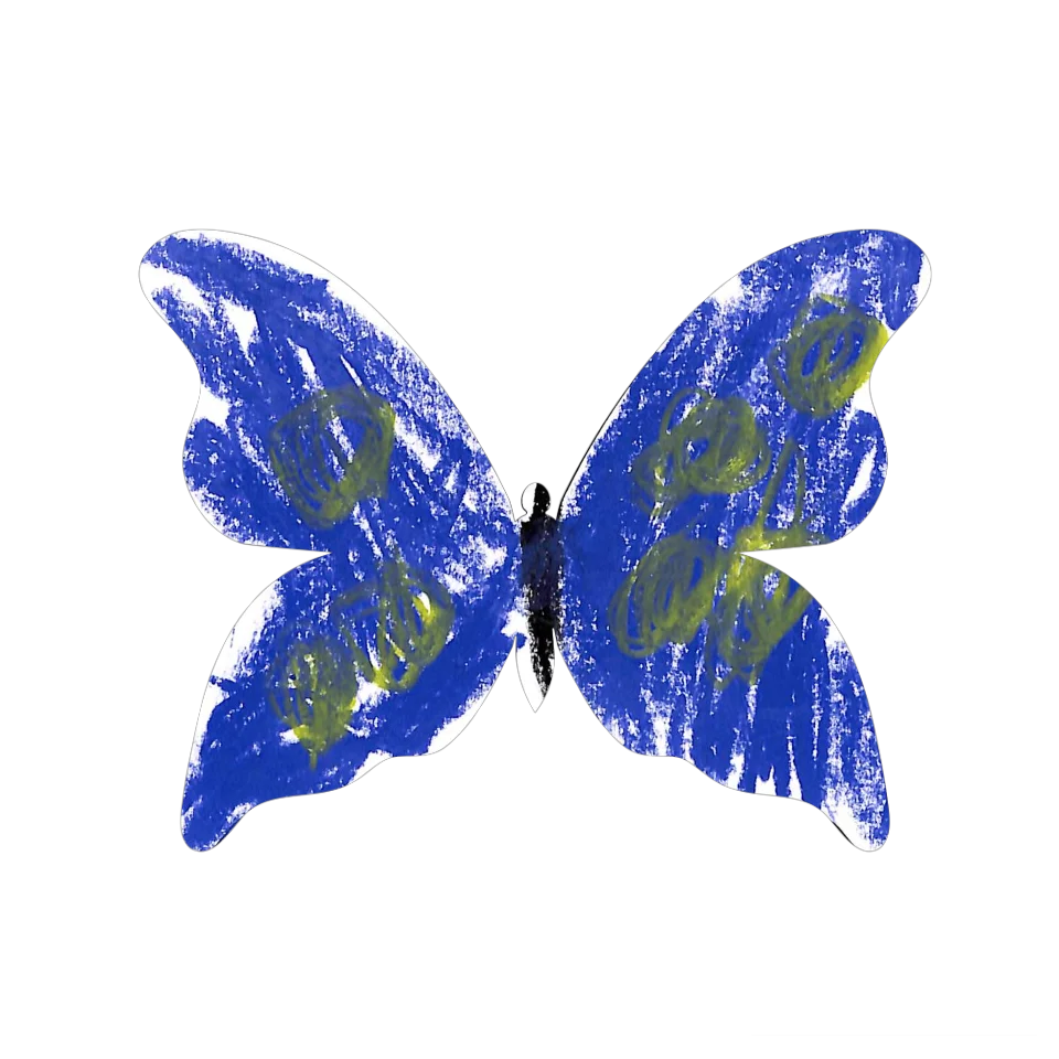 Original Butterfly Image