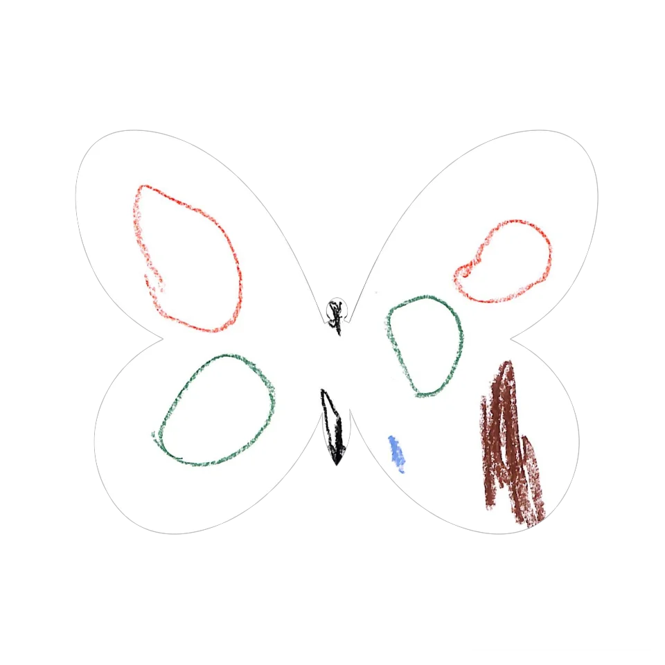 Original Butterfly Image