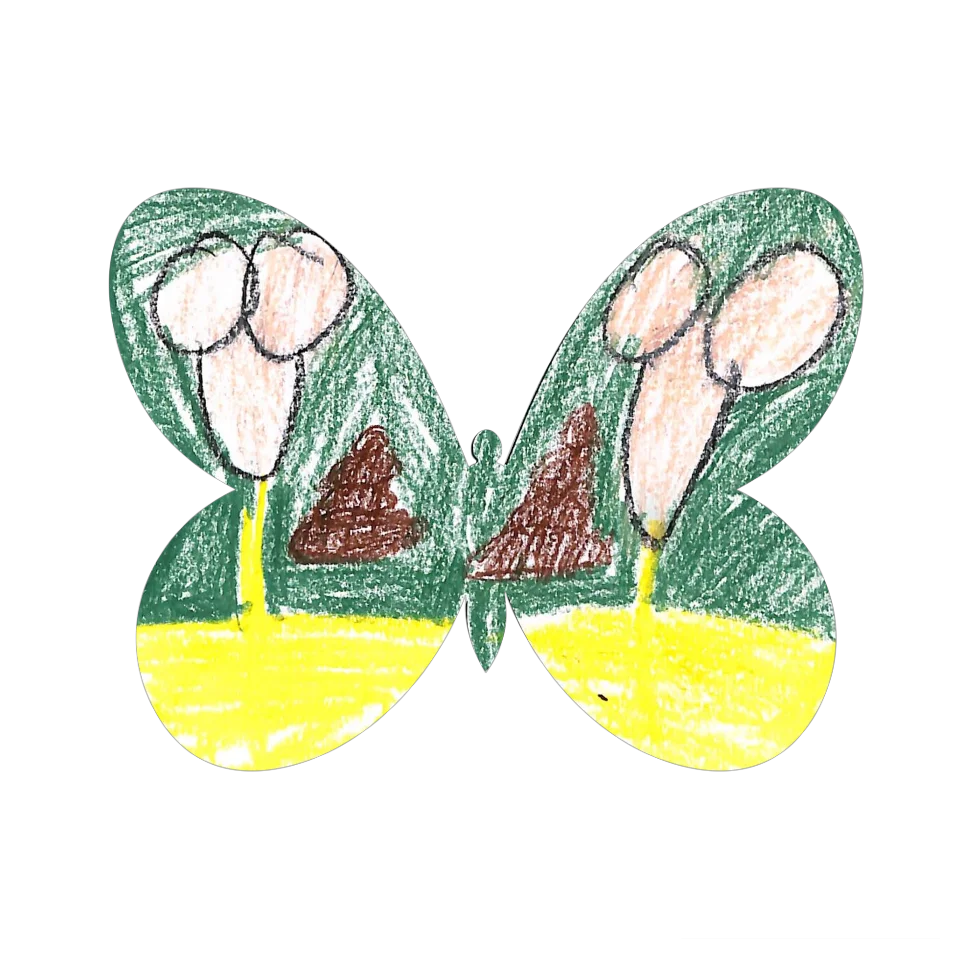 Original Butterfly Image