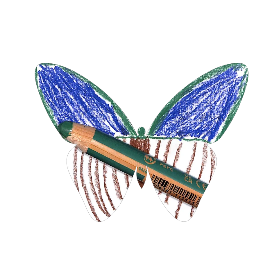 Original Butterfly Image