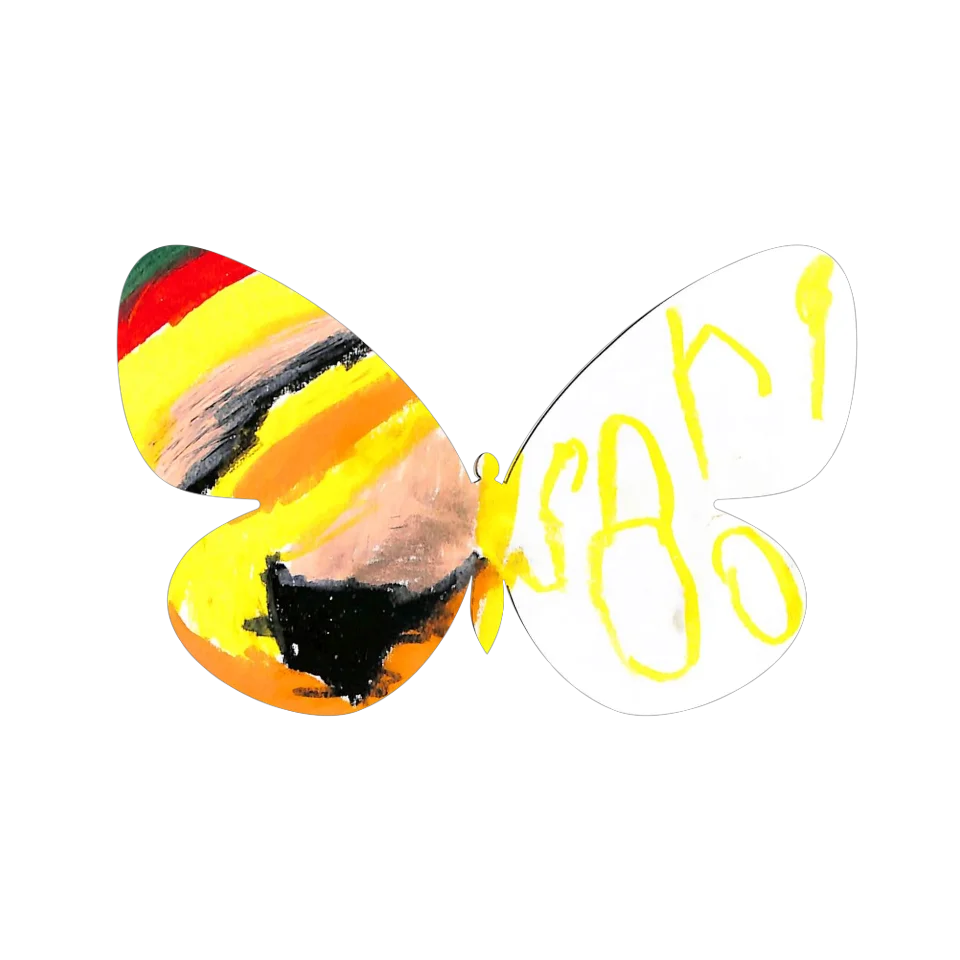 Original Butterfly Image