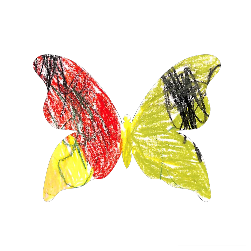 Original Butterfly Image