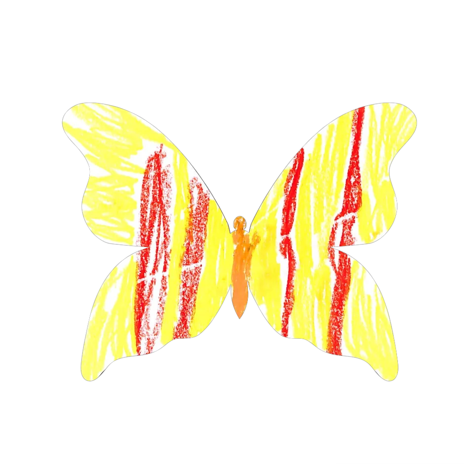 Original Butterfly Image