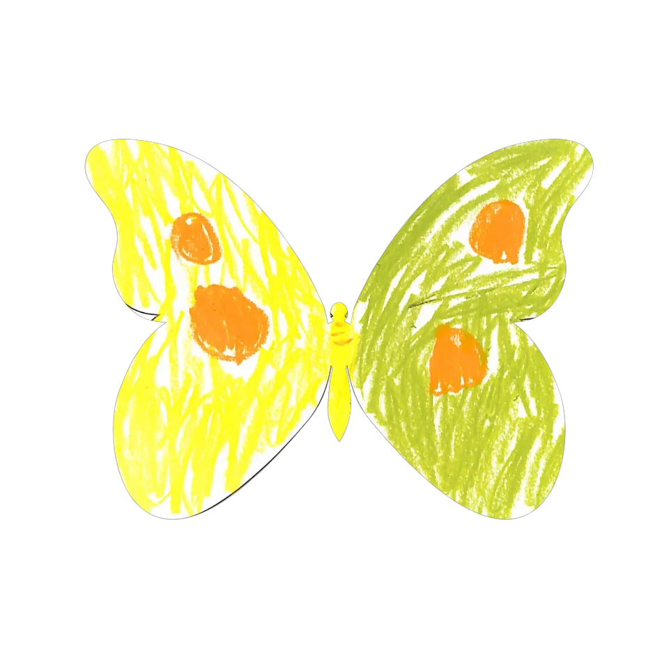 Original Butterfly Image