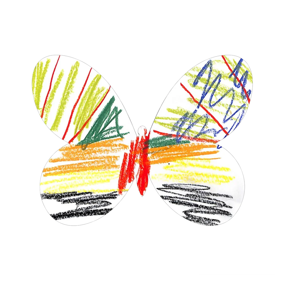 Original Butterfly Image