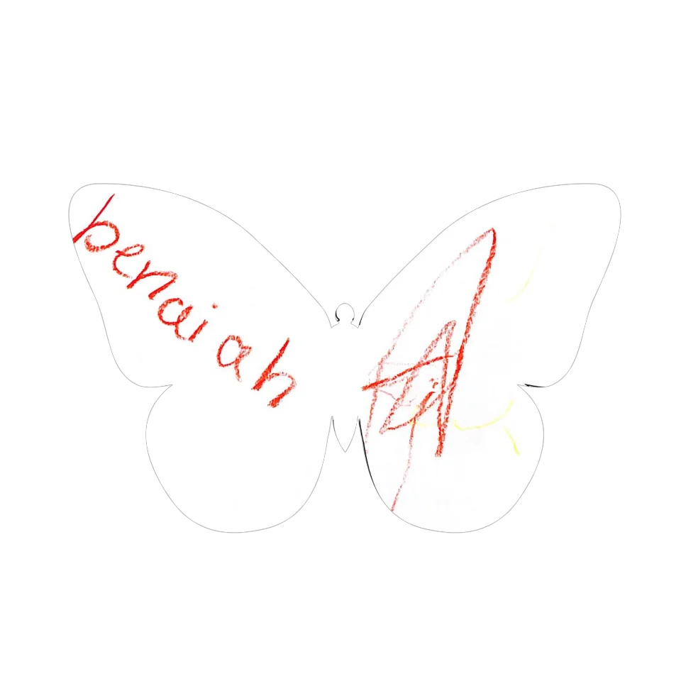 Original Butterfly Image