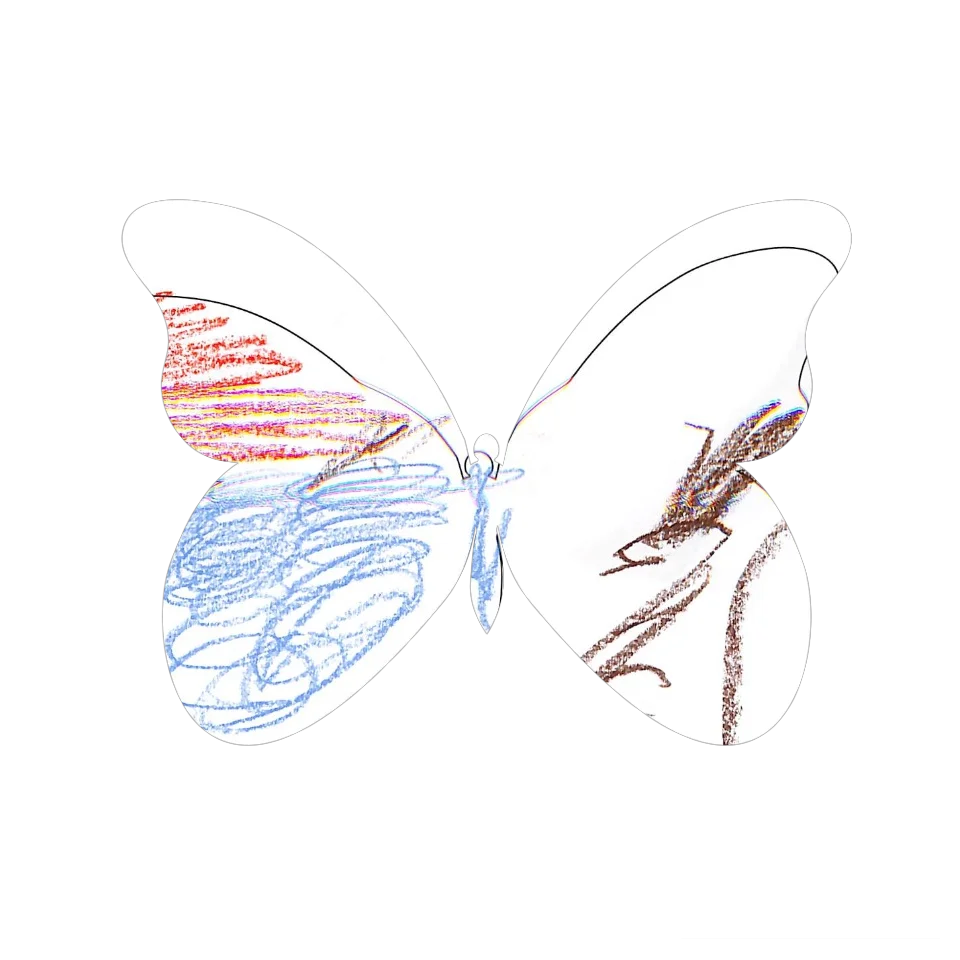 Original Butterfly Image