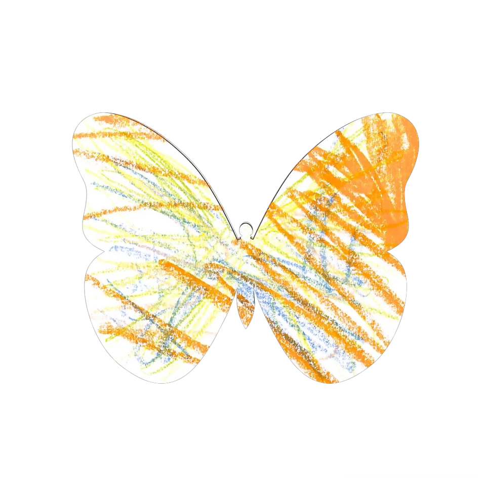 Original Butterfly Image