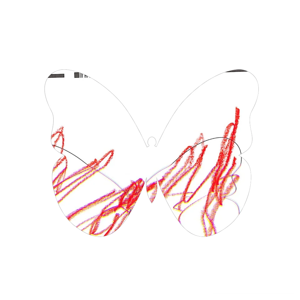 Original Butterfly Image