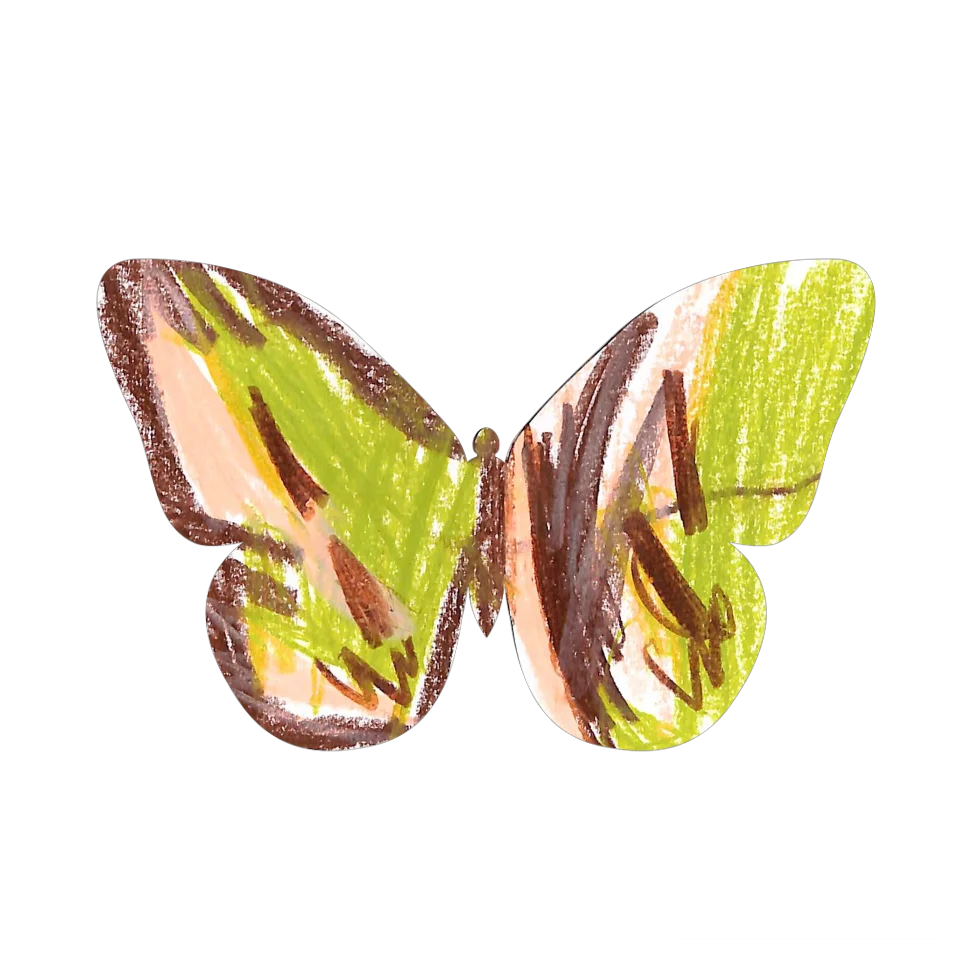 Original Butterfly Image