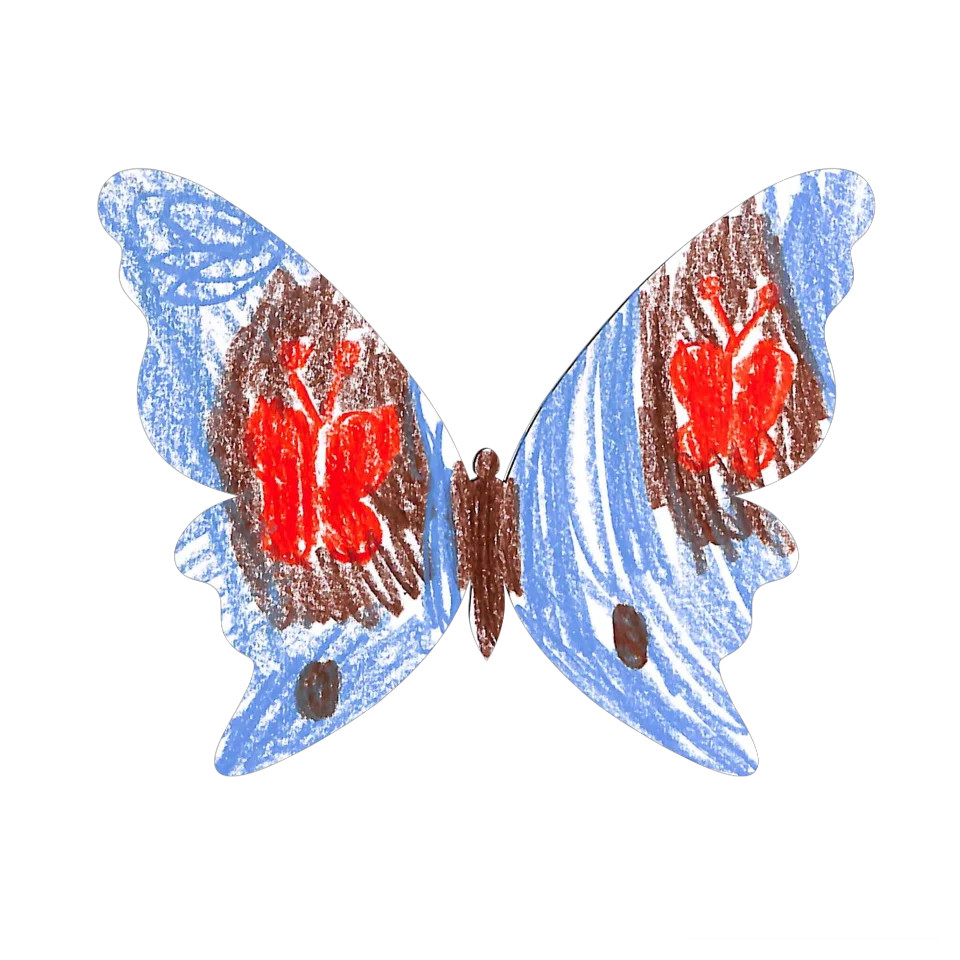 Original Butterfly Image