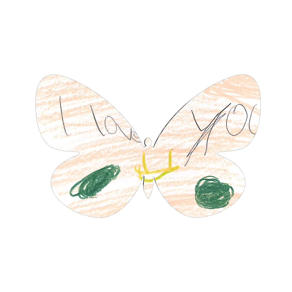 Original Butterfly Image