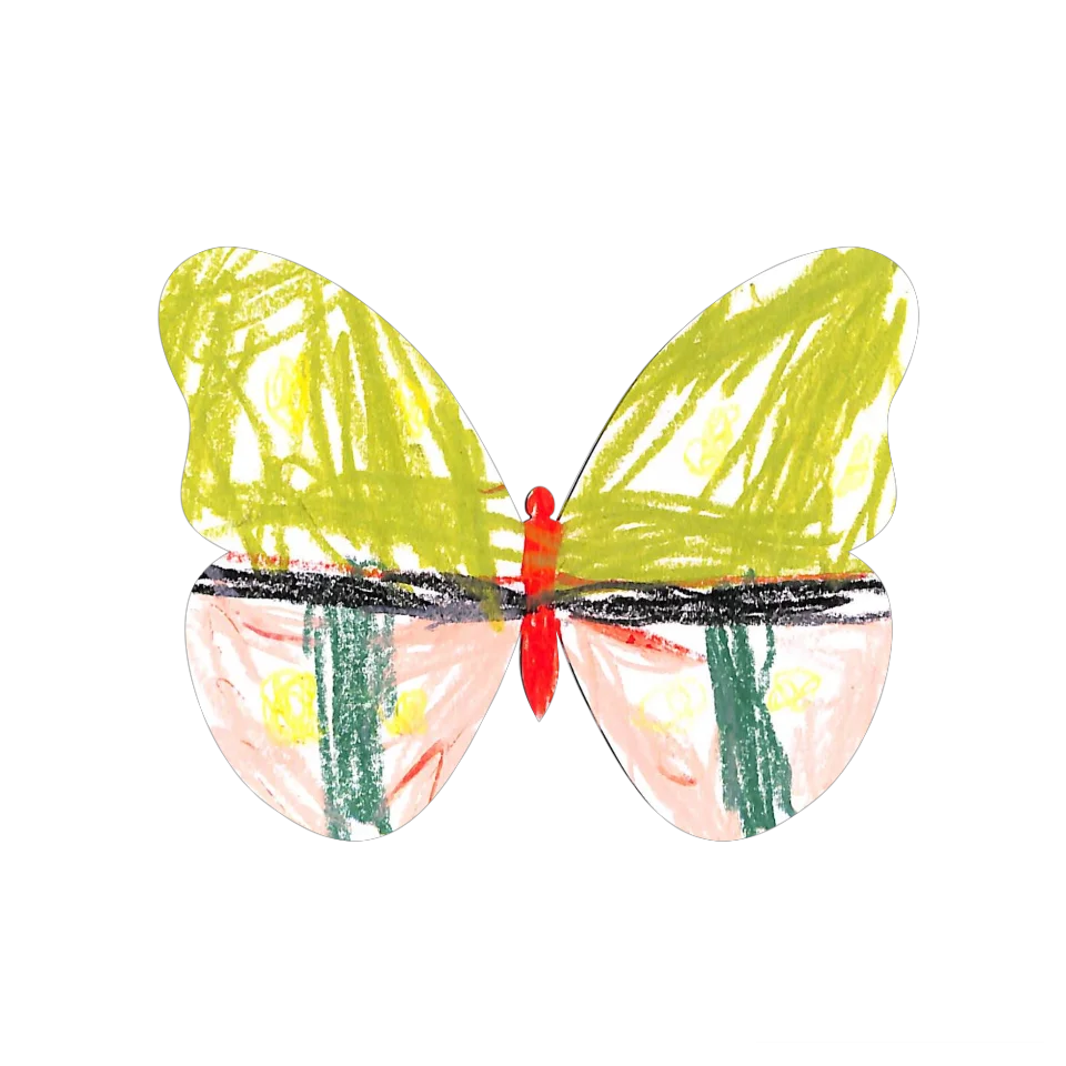 Original Butterfly Image
