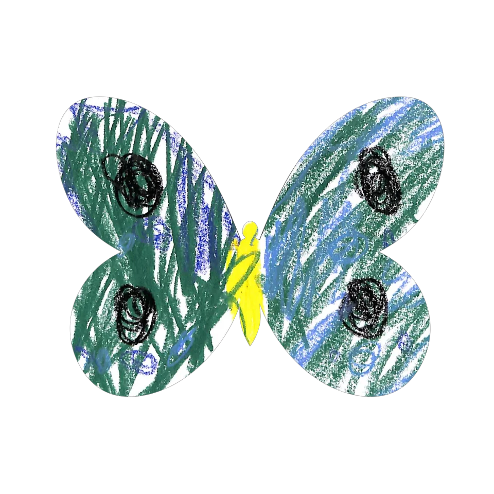 Original Butterfly Image