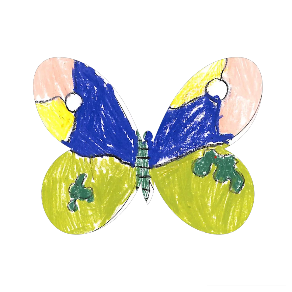 Original Butterfly Image