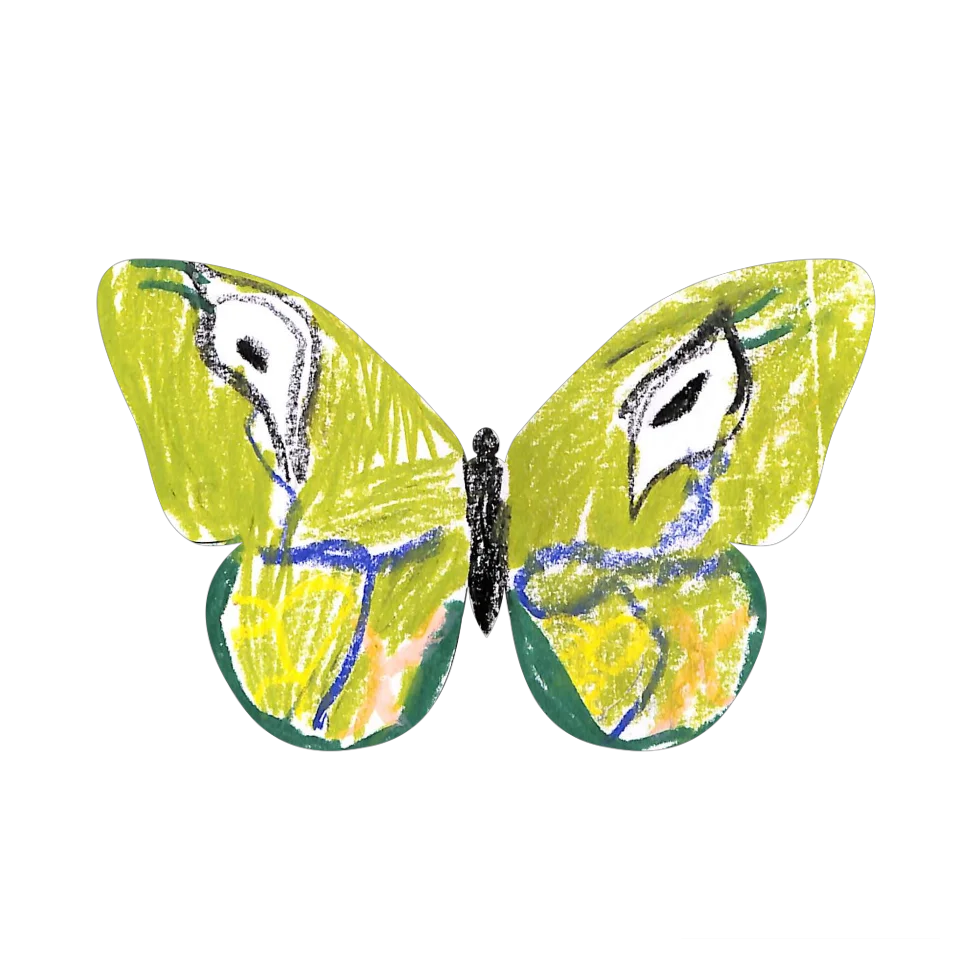 Original Butterfly Image