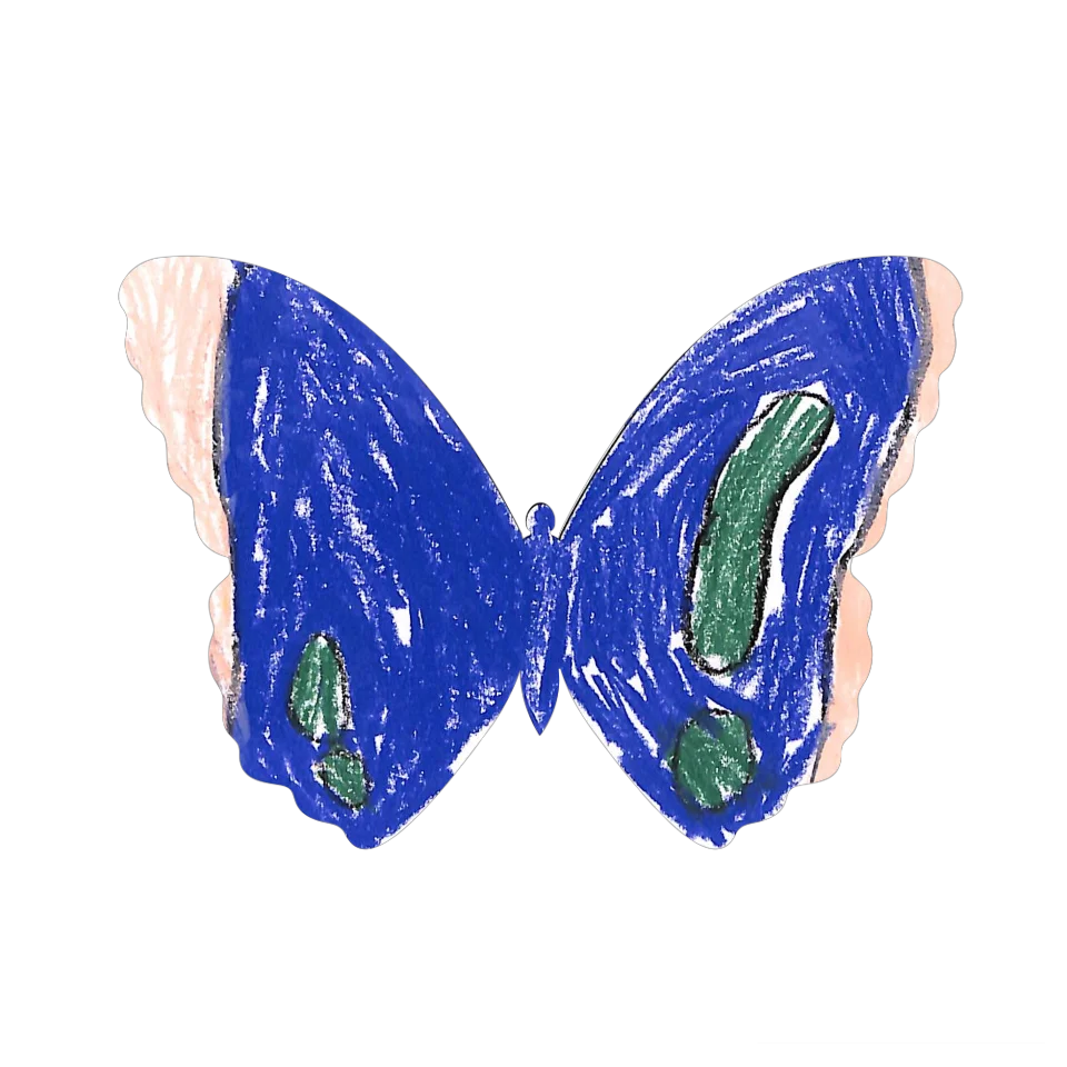 Original Butterfly Image