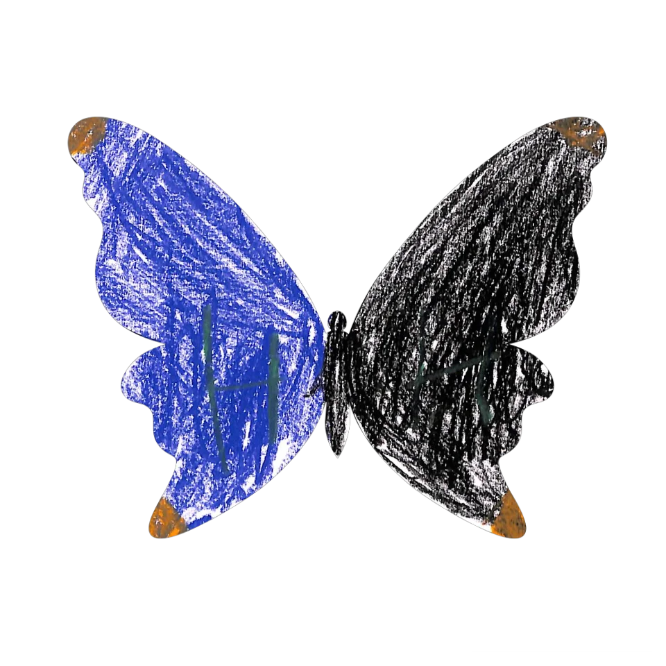 Original Butterfly Image