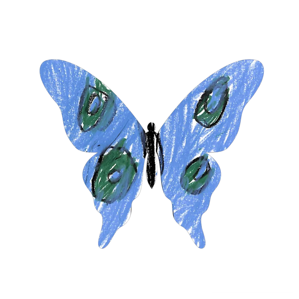 Original Butterfly Image