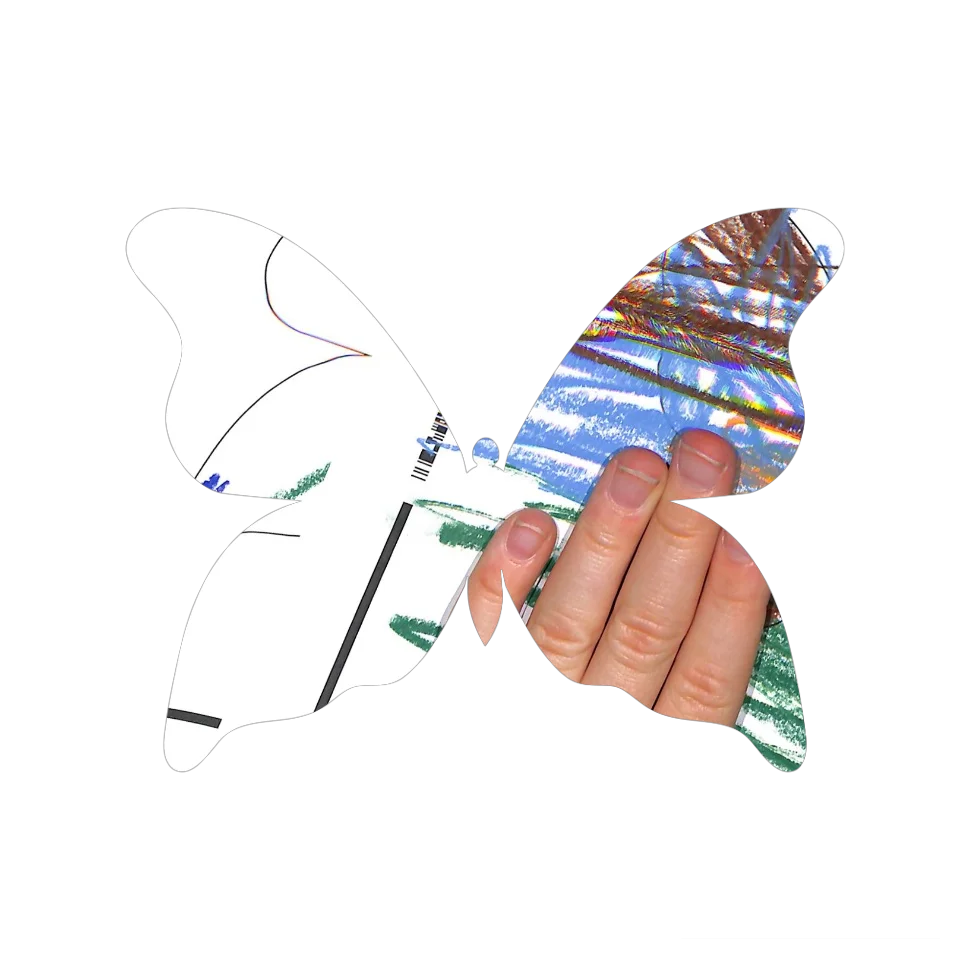 Original Butterfly Image