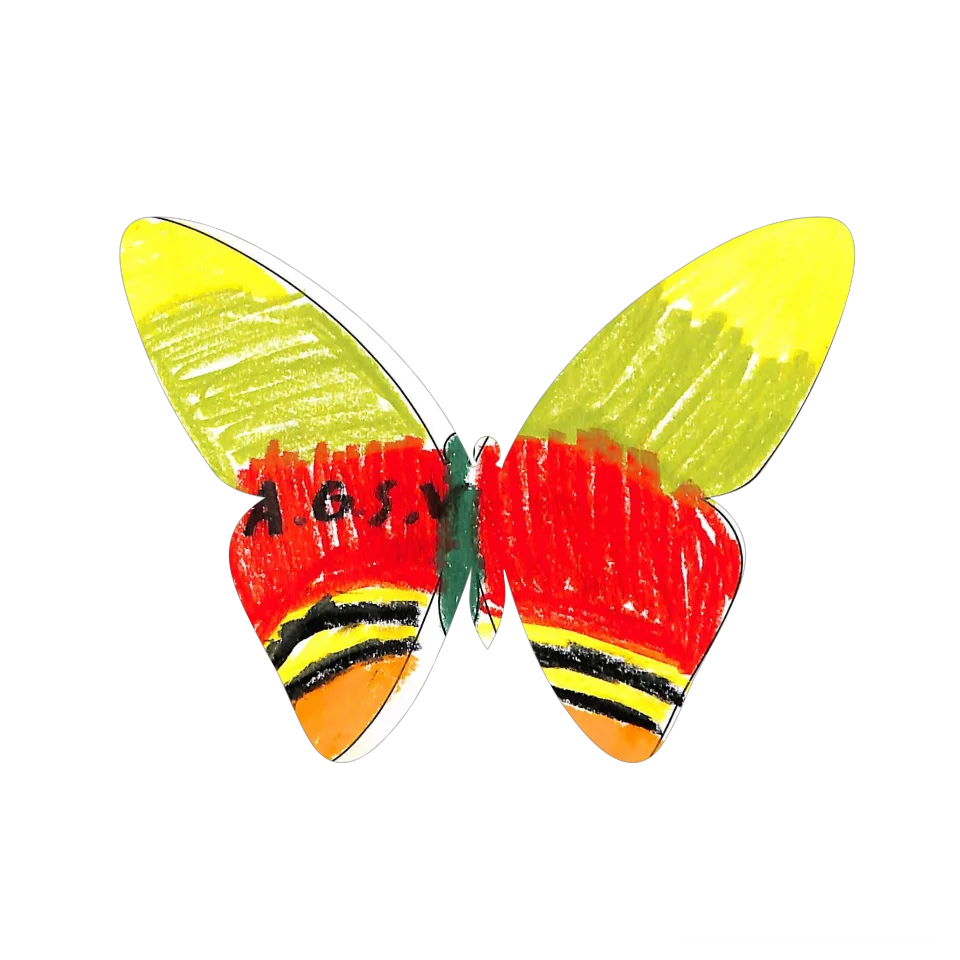 Original Butterfly Image