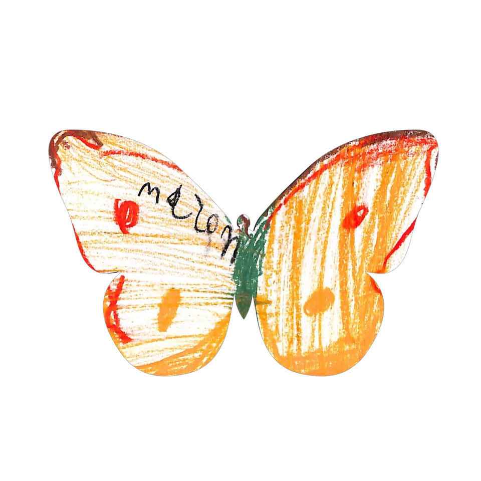 Original Butterfly Image