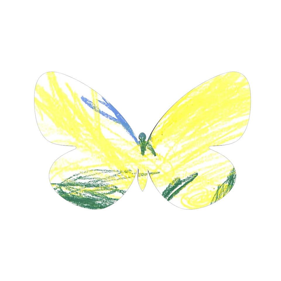 Original Butterfly Image