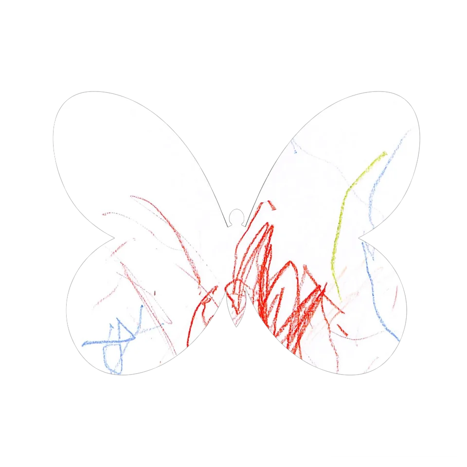 Original Butterfly Image