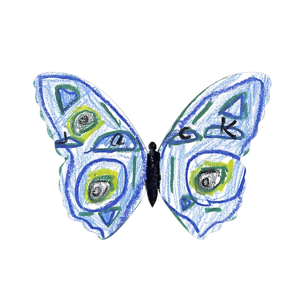 Original Butterfly Image