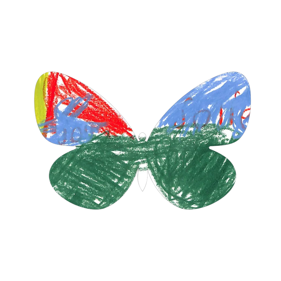 Original Butterfly Image