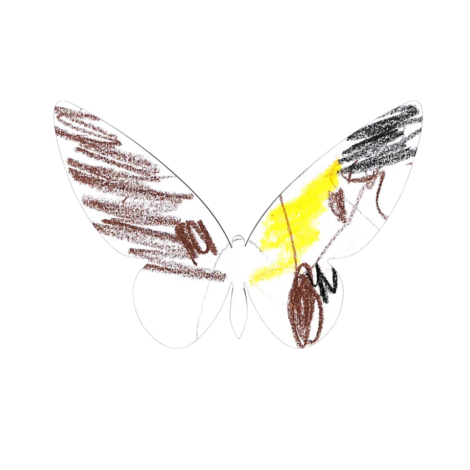 Original Butterfly Image