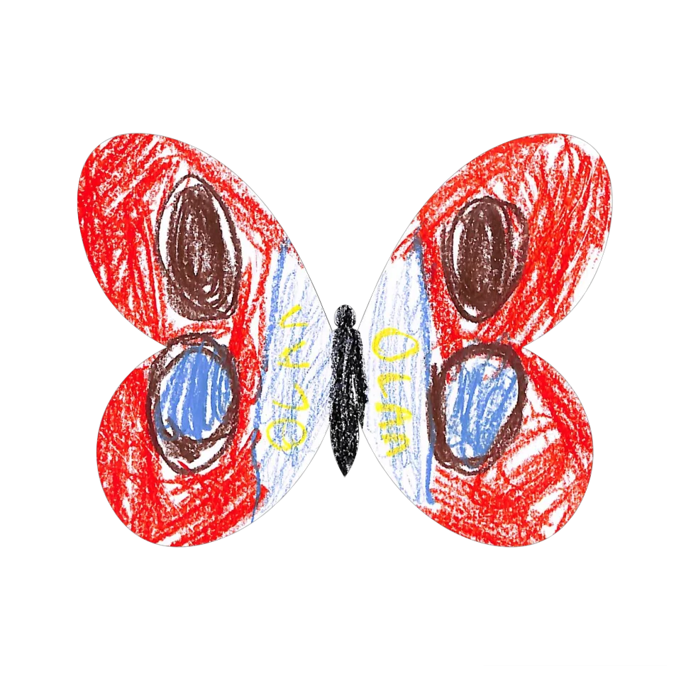 Original Butterfly Image