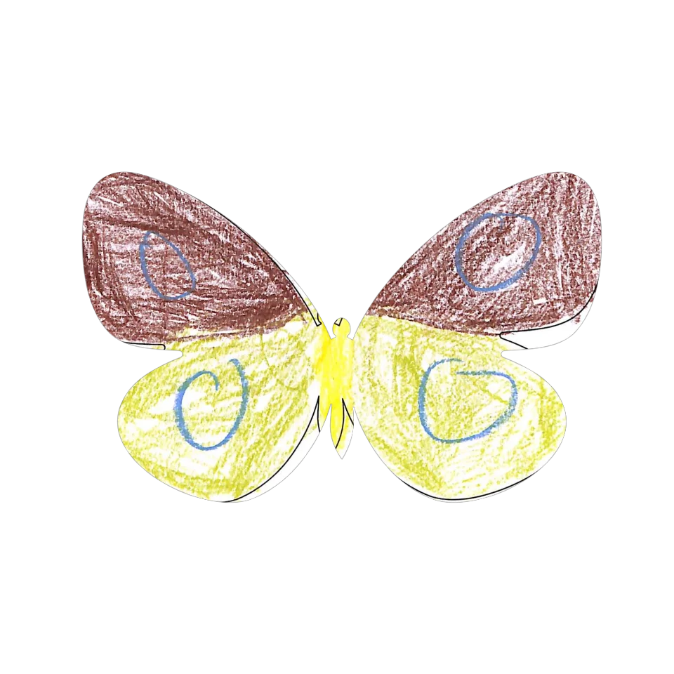 Original Butterfly Image