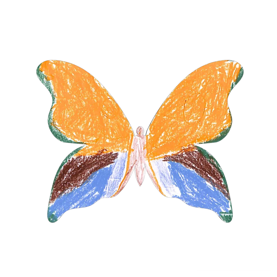 Original Butterfly Image