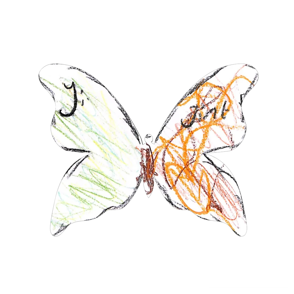 Original Butterfly Image