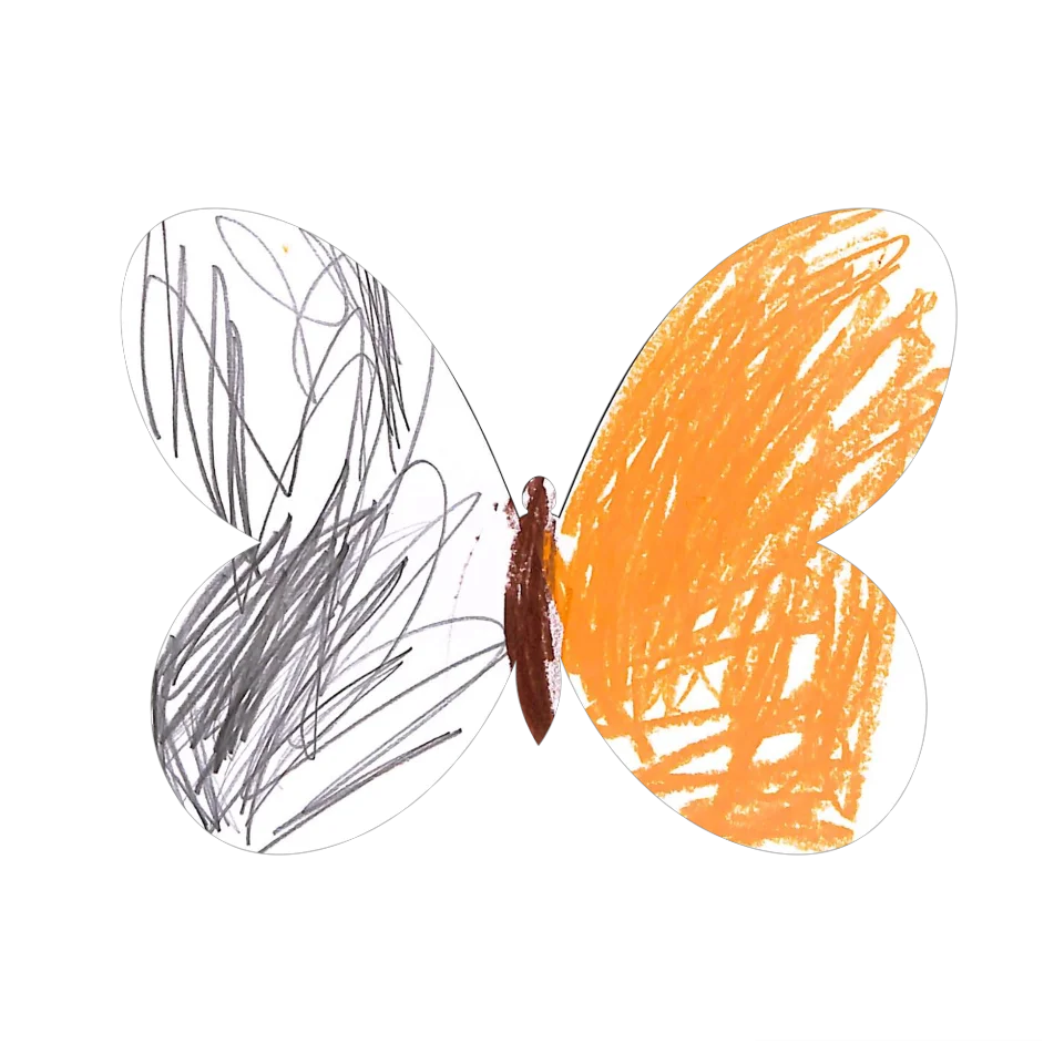 Original Butterfly Image