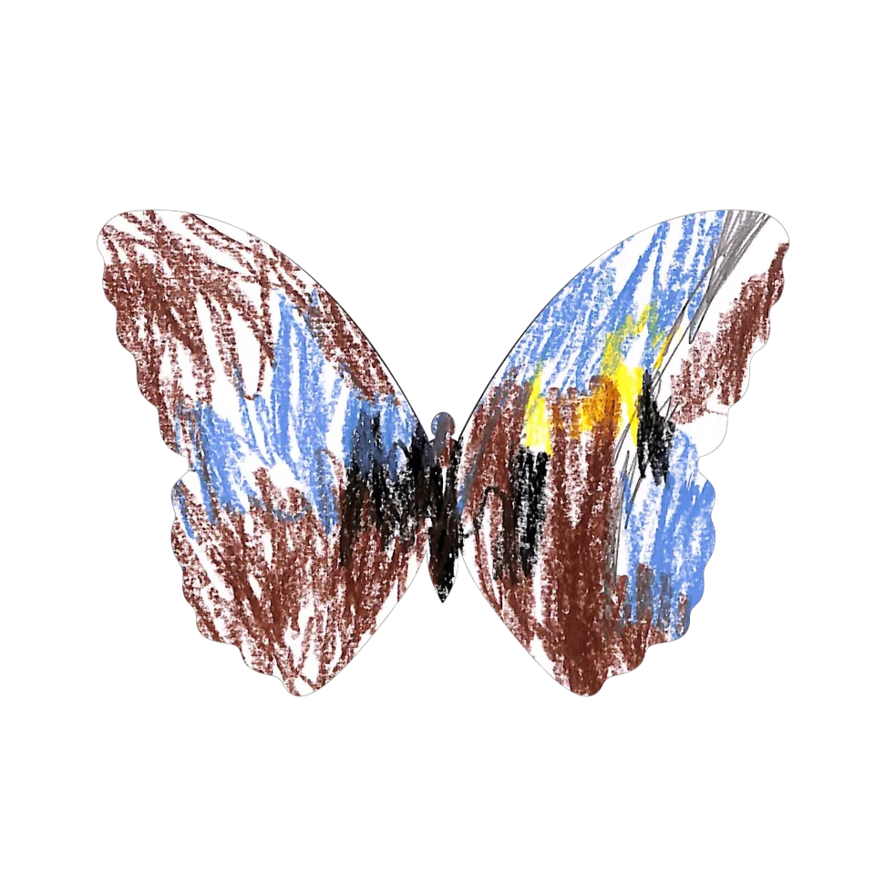 Original Butterfly Image