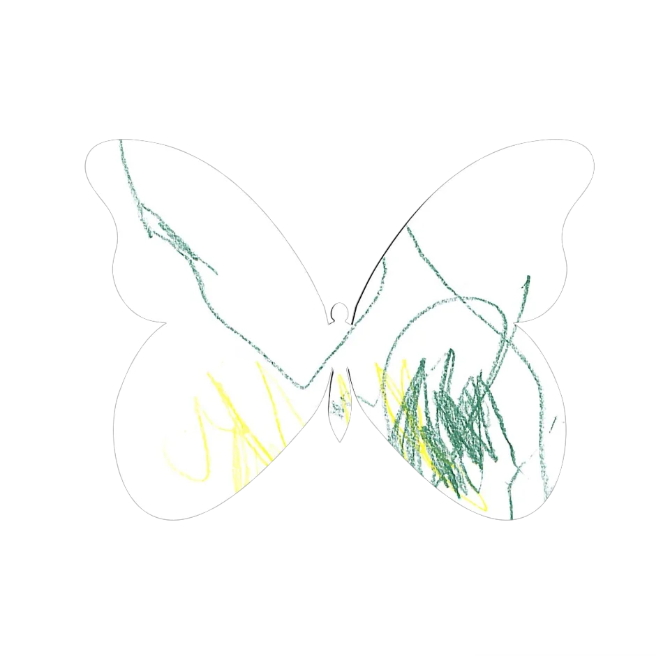 Original Butterfly Image