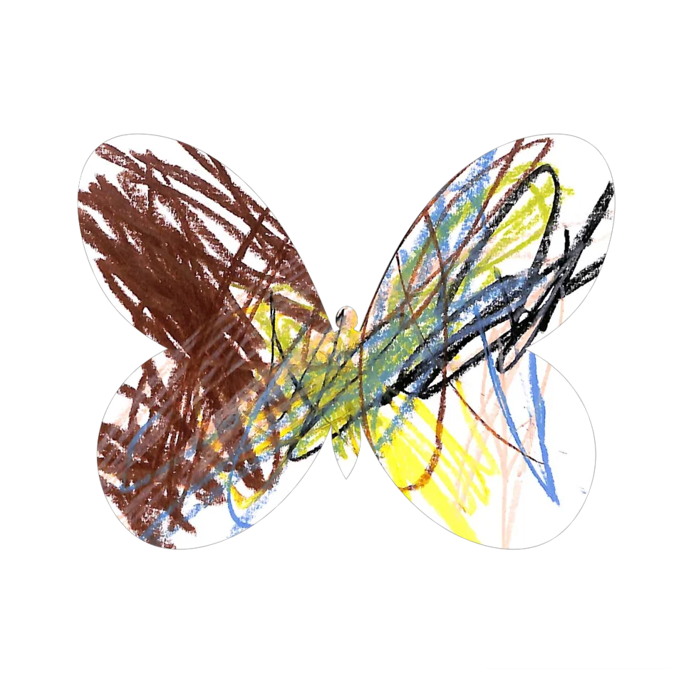 Original Butterfly Image