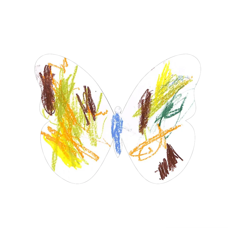 Original Butterfly Image