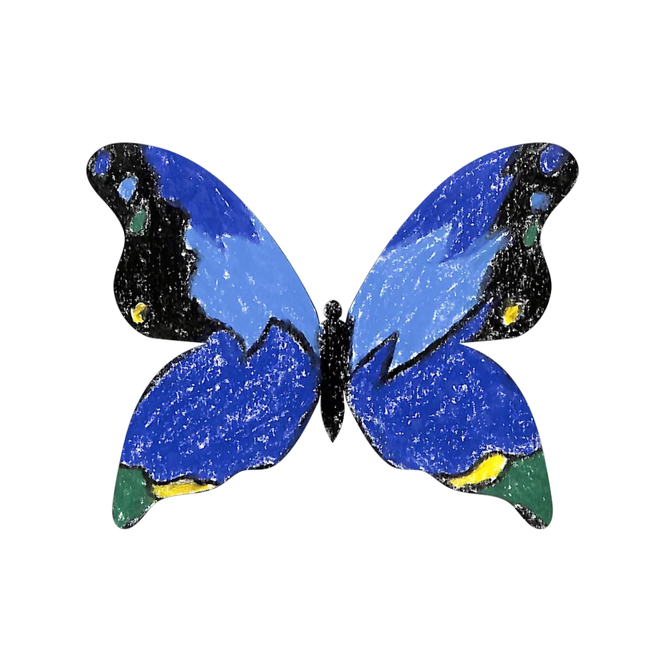 Original Butterfly Image