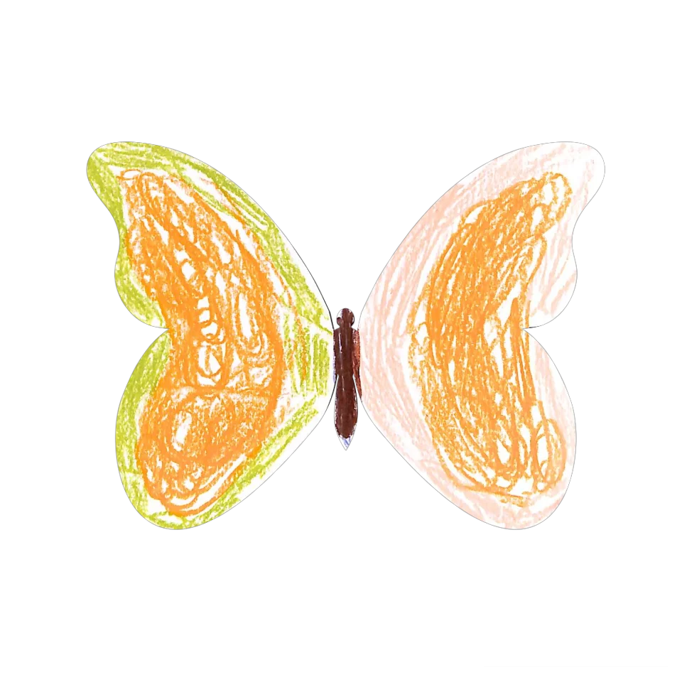 Original Butterfly Image