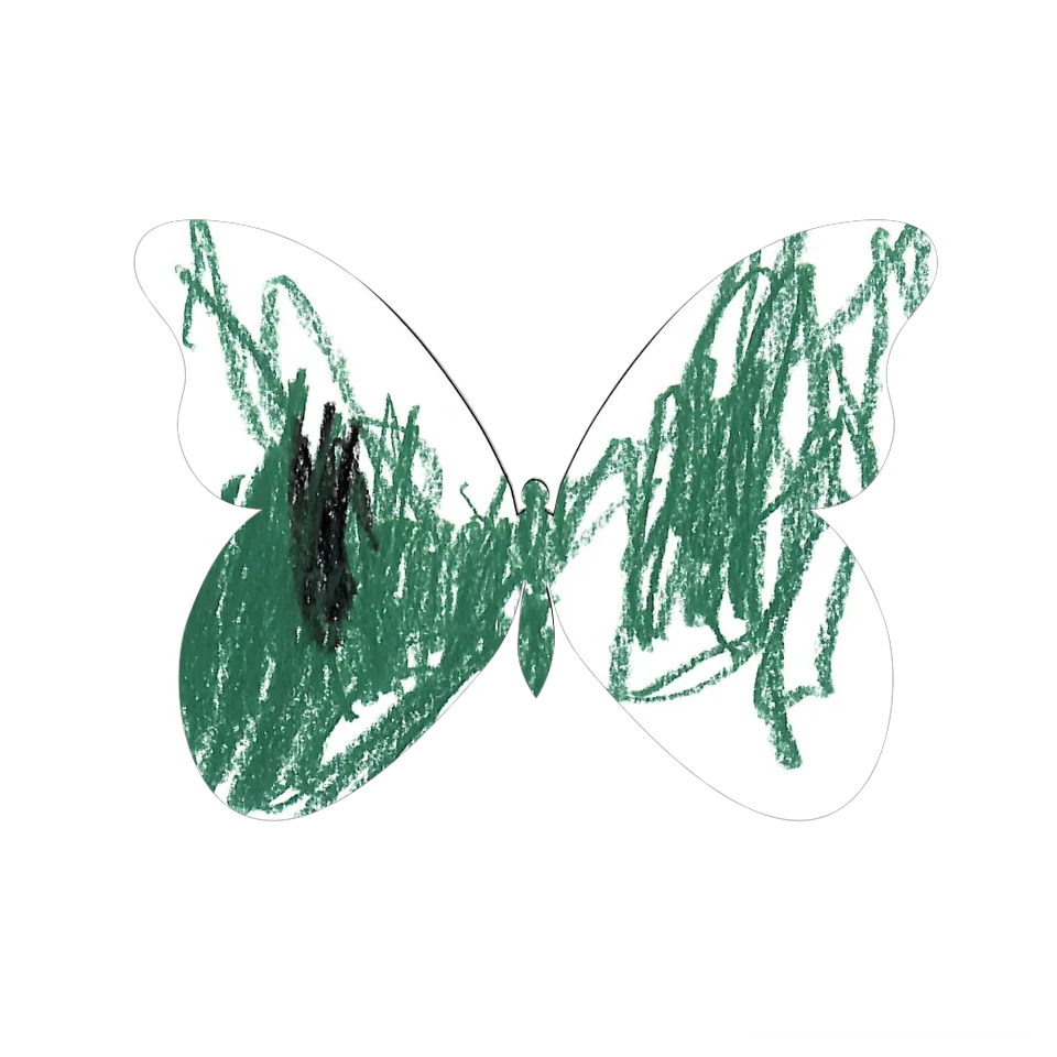 Original Butterfly Image