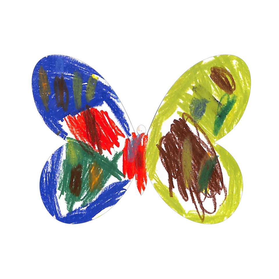 Original Butterfly Image