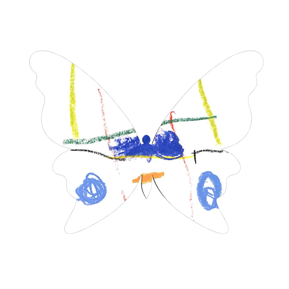 Original Butterfly Image