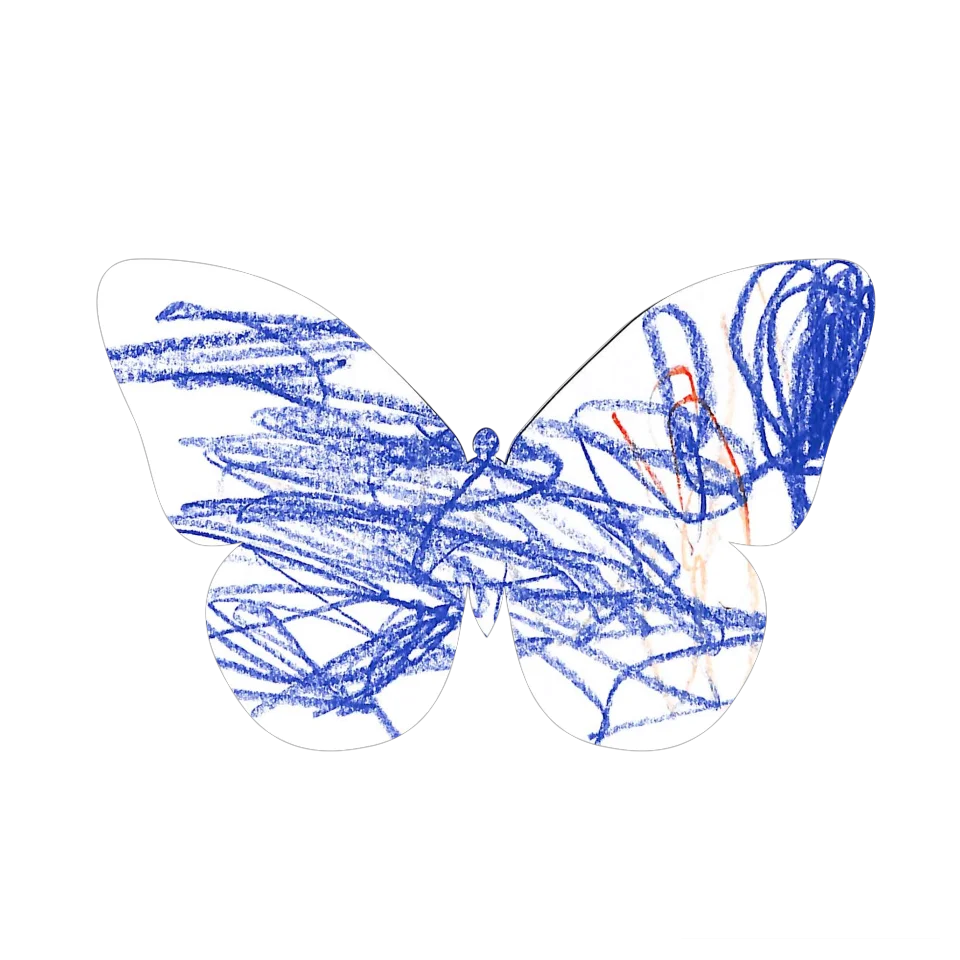Original Butterfly Image
