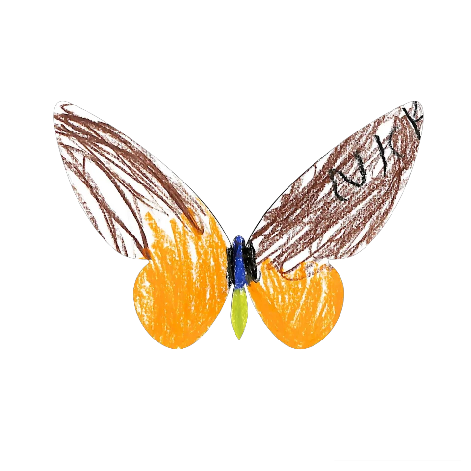 Original Butterfly Image