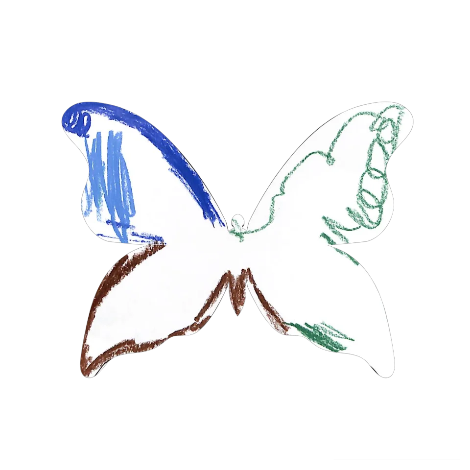 Original Butterfly Image