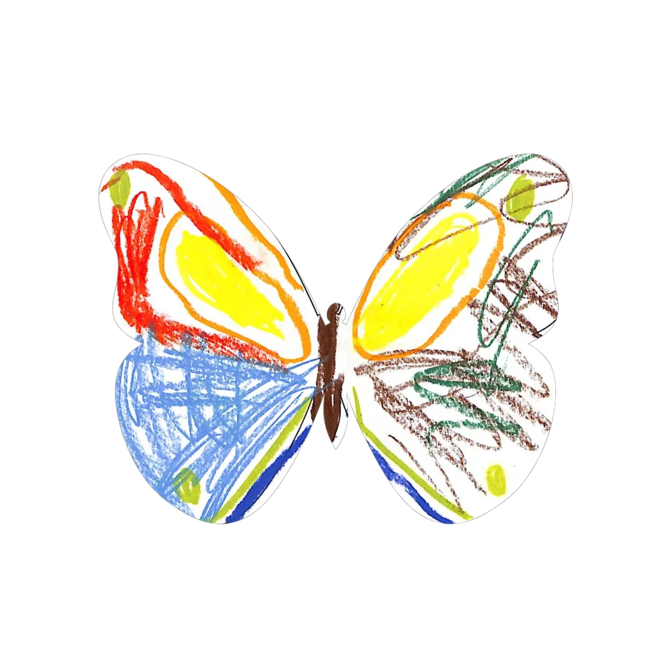 Original Butterfly Image